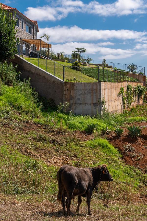 Villa Fauna - Nature & Tranquility - Heated Pool Optional Prazeres Buitenkant foto